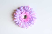 How adorable is this flower accessory!  This Gerber daisy measures 4 inches wide and is combined with lavender and pink polka dots.  This would be beautiful attached to a headband, hat, clipped in the hair or attached to clothing or shoes.